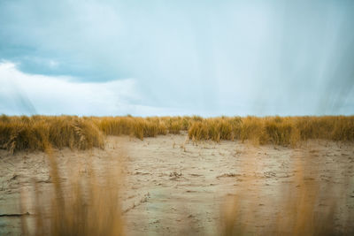 Scenic view of land against sky