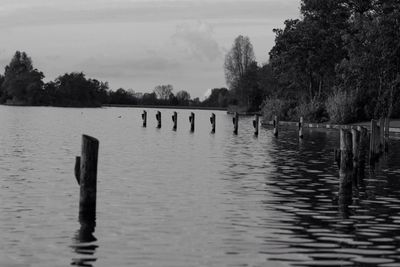 Wooden posts in lake