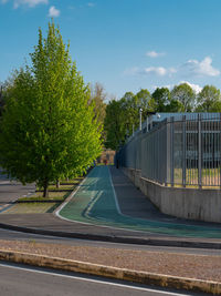 Long and straight bike path with a row of trees beside it.