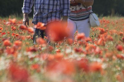 Midsection of couple walking amidst flowering plants