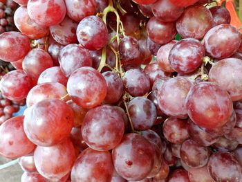 Full frame shot of red grapes in market