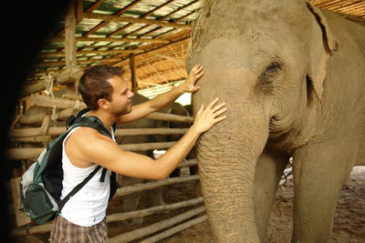 Side view of man touching elephant at zoo