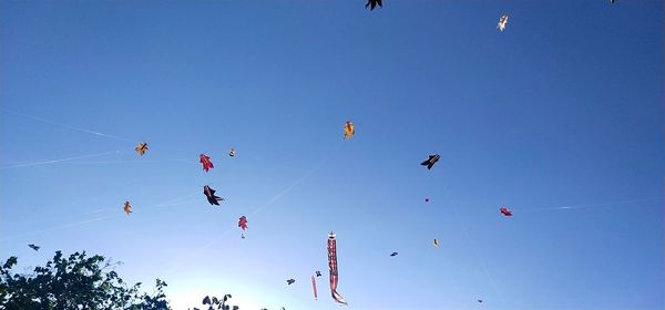 Low angle view of kites flying against clear blue sky