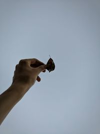 Low angle view of hand holding leaf against clear sky