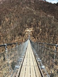 High angle view of rope bridge in forest