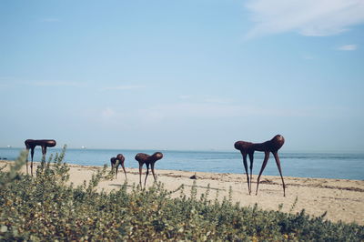 View of tourists on beach