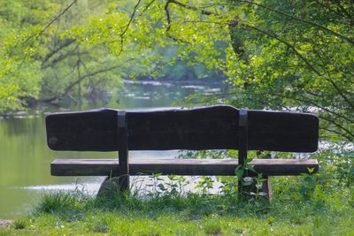 Empty bench in park