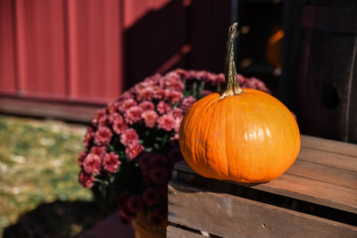 Close-up of pumpkin on wooden table during halloween