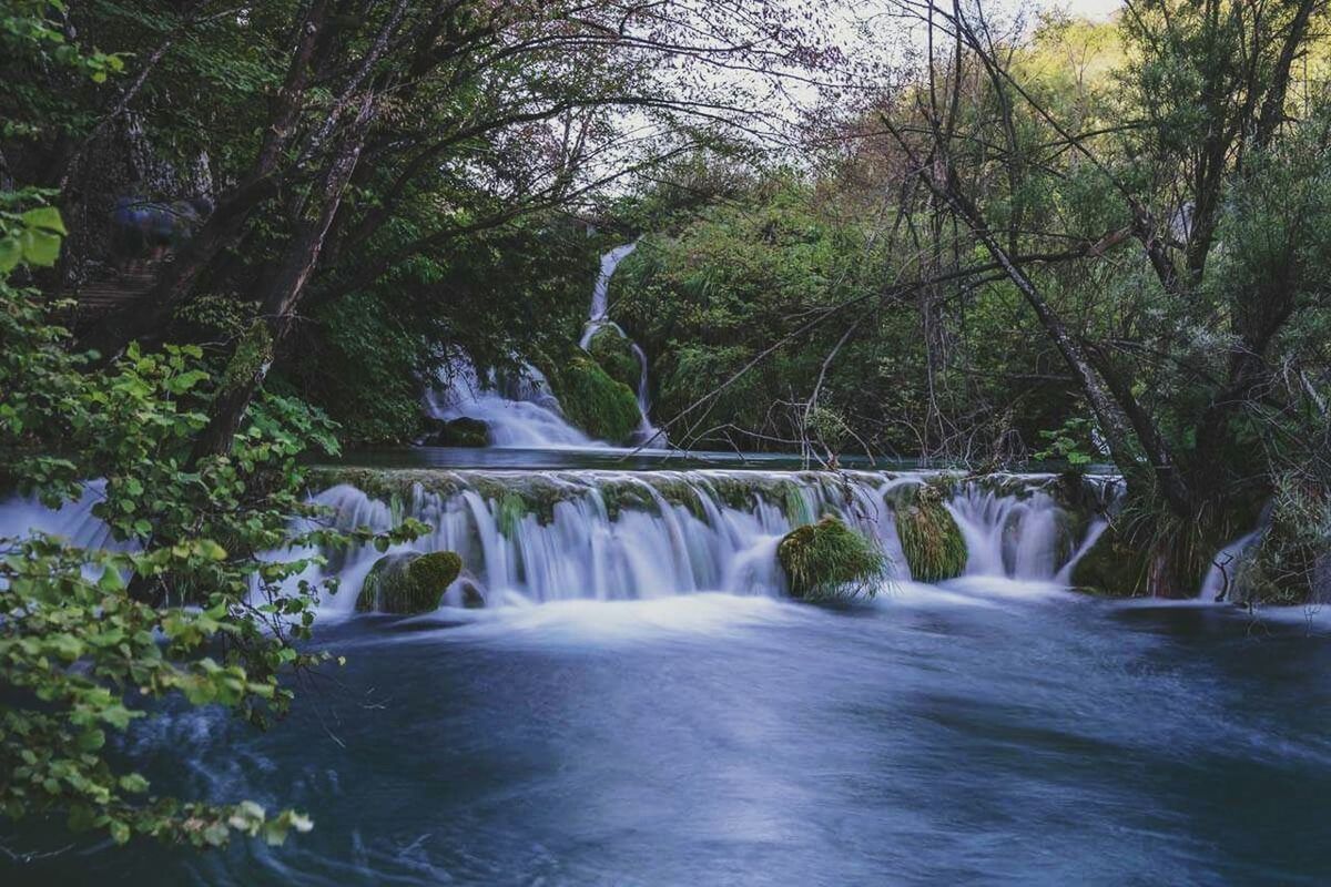 WATERFALL AMIDST TREES IN FOREST