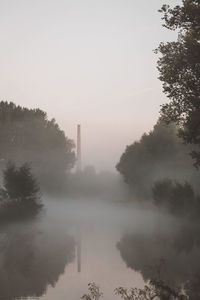 View of trees in foggy weather