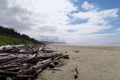 Scenic view of beach against sky