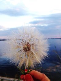 Close-up of hand holding dandelion against sky