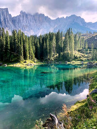 Scenic view of lake by trees against sky