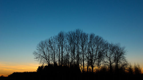 Silhouette of bare tree against clear sky