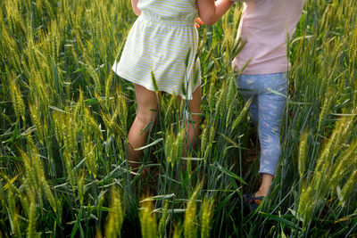 Back view of two girls legs walking away in wheat field