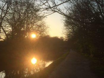 Sun shining through trees during sunset