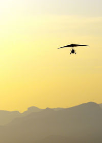 Silhouette of birds flying in sky