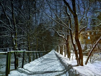 Snow covered trees in forest during winter