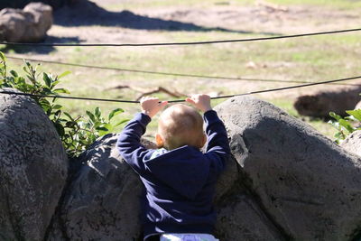 Rear view of boy sitting on tree