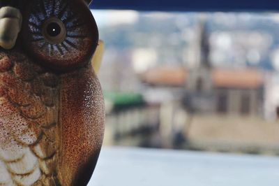 Close-up of water drops on rusty metal