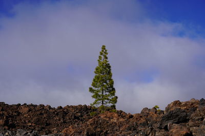 Low angle view of rock against sky