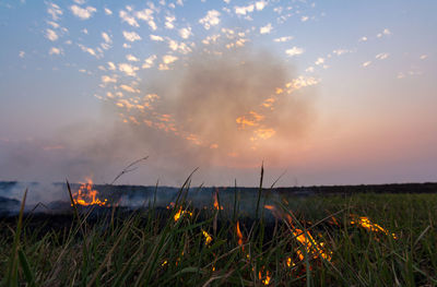 Scenic view of field against sky during sunset