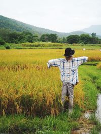 Scarecrow on agricultural field against mountains and sky