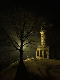 Bare tree against blue sky at night