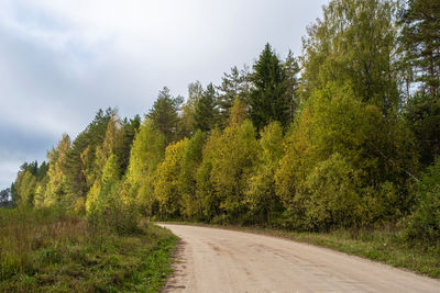 Road amidst trees in forest against sky