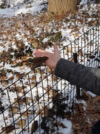 Close-up of hand holding shadow of tree