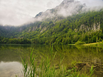 Scenic view of lake by trees against sky