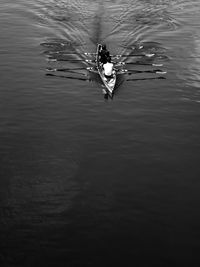 High angle view of people rowing on lake