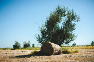 Hay bales on field against clear sky