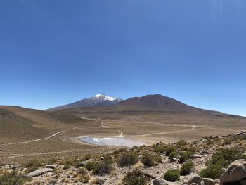 Scenic view of landscape against clear blue sky