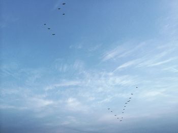 Low angle view of birds flying against sky