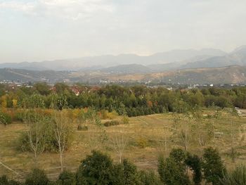 Scenic view of field against sky