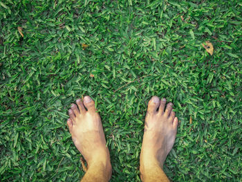 Low section of person standing on grass