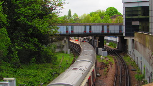 Train on railroad track amidst trees