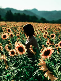 Rear view of woman standing amidst flowers