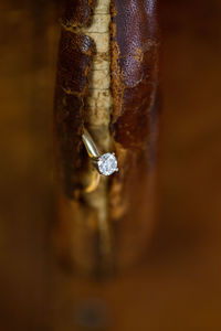 Close-up of diamond ring in wood