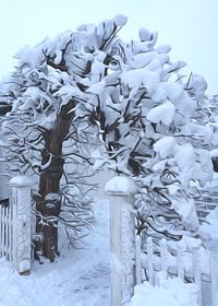 Close-up of white background