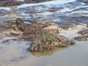 Scenic view of river
