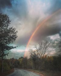 Scenic view of rainbow over trees against sky