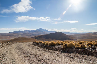 Scenic view of desert against sky