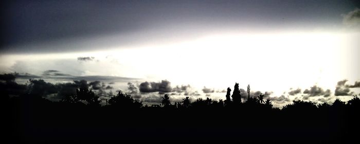 Silhouette trees on field against sky at sunset