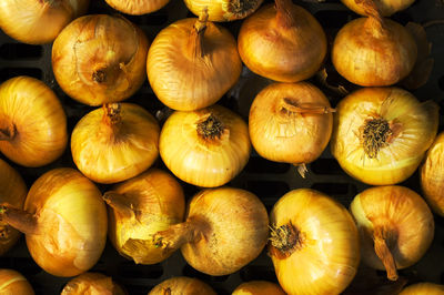 Full frame shot of onions