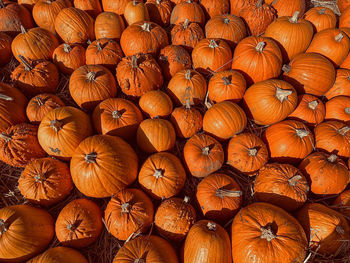 large group of objects