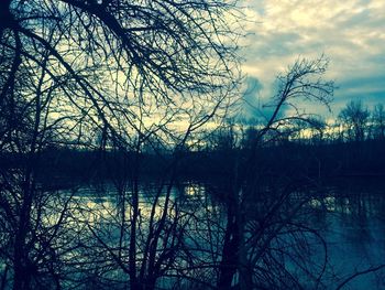 Reflection of bare trees in lake