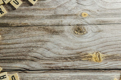 Full frame shot of tree trunk