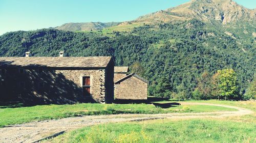 Scenic view of grassy landscape